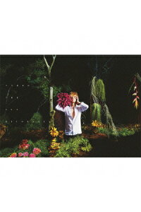 楽天ブックス Under The Sun Cd Dvd 清春 Cd 楽天ブックス Under The Sun Cd Dvd 清春 Cd